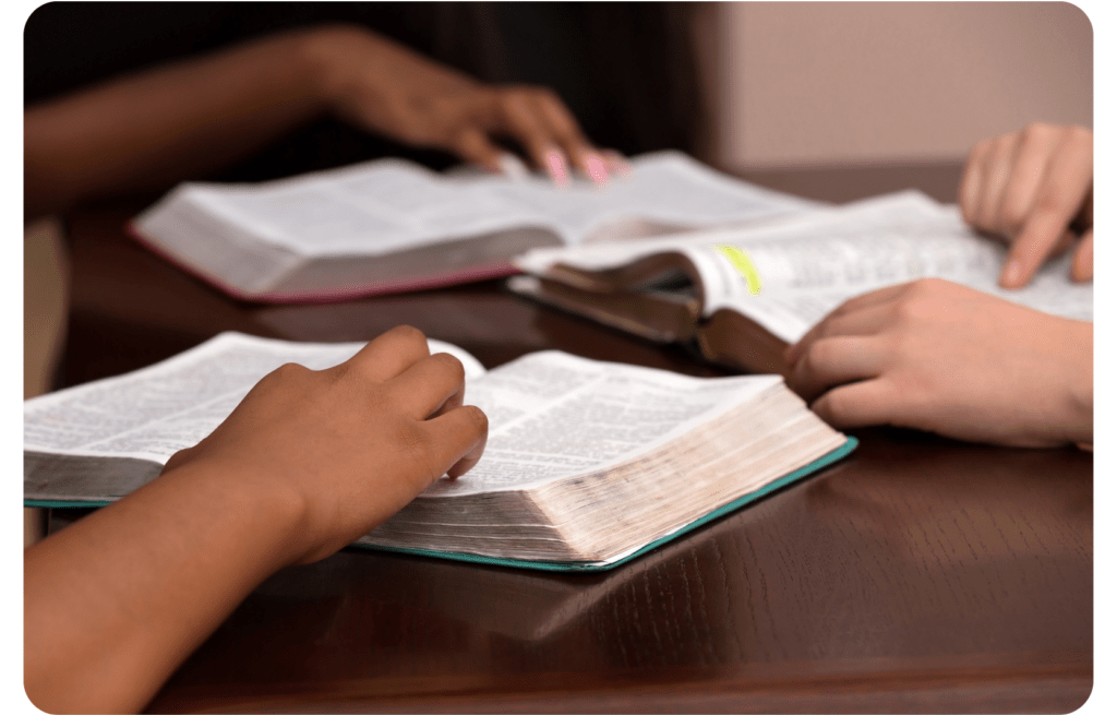 The Life Box – The Life Box